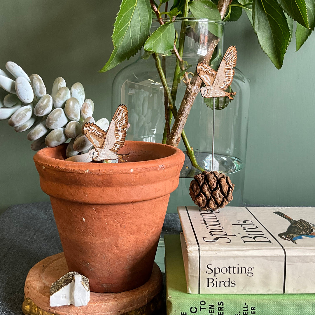 Whimsical pot sitter birds on a terracotta pot with greenery, showcasing Lily Faith's playful indoor plant decor from Devon.
