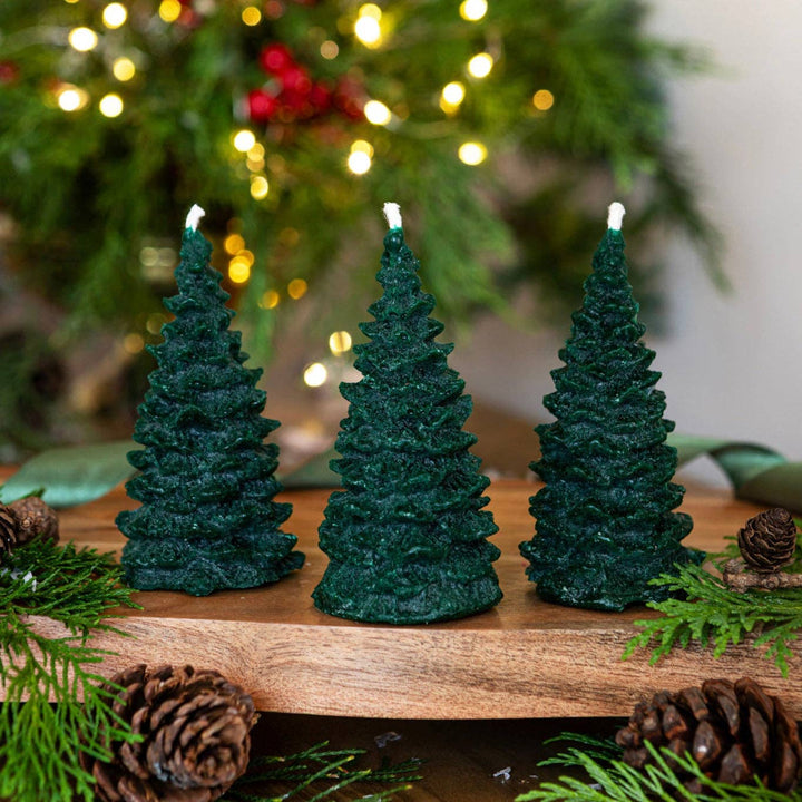 Pintail Candles - Christmas Tree Forest Christmas Tree Candle displayed in a festive setting with pinecones.