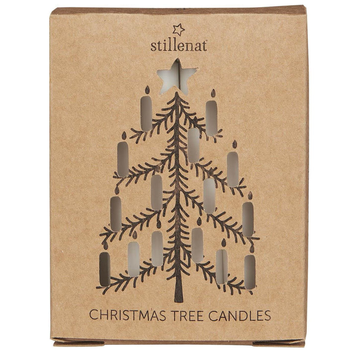 festive box of white taper candles