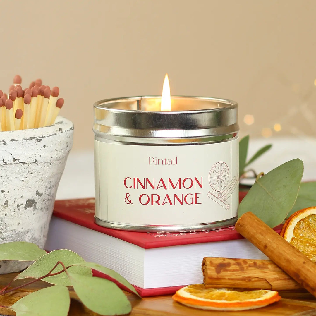 Single Wick Cinnamon and Orange Pintail Candle by Source for the Goose, Devon, glowing with warm light and autumn scents.
