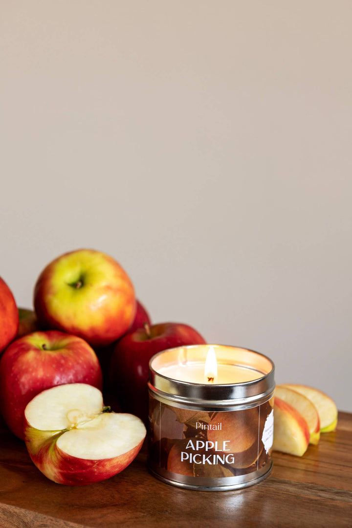 Pintail Candles Apple Picking Classic Tin Candles | Candle in a Tin beside fresh apples, perfect for cosy home and winter nights.