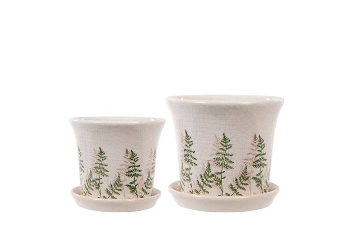 Two Fern Flower Pots with Tray