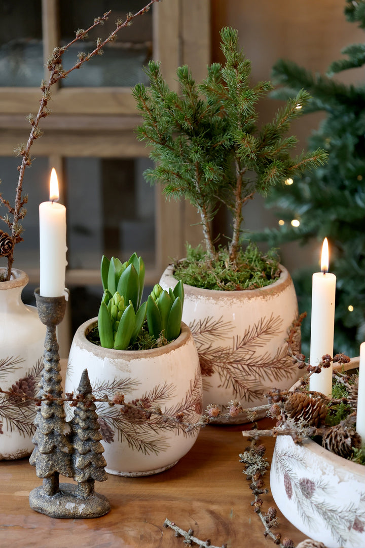 Fir Cone Decorative Planter with hyacinths and evergreen, perfect for autumn decor from Source for the Goose, Devon.
