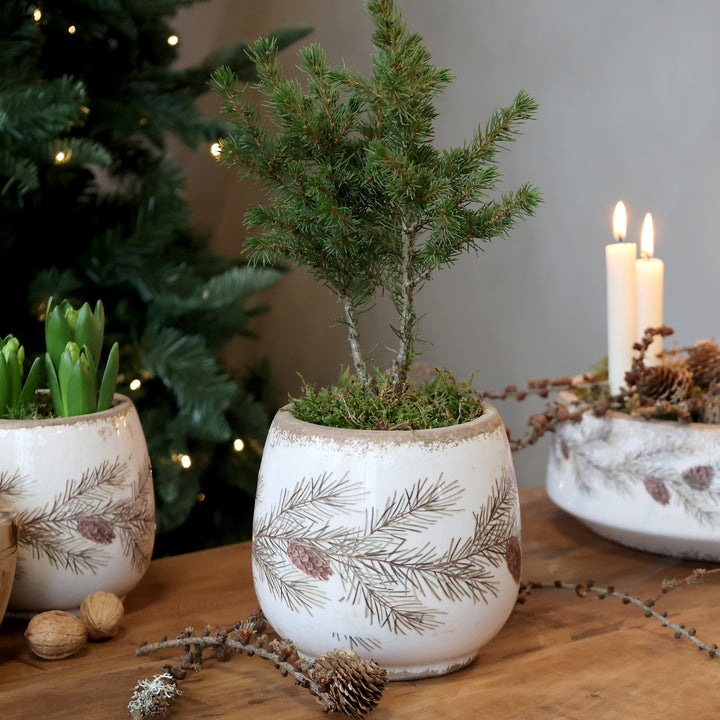 Fir Cone Decorative Planter from Source for the Goose Devon, featuring spruce and pine details, perfect for seasonal decor.