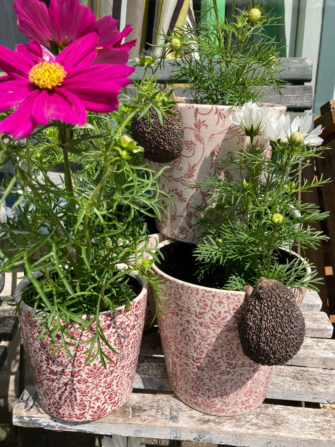 hedgehog pot hanger on floral flowerpot