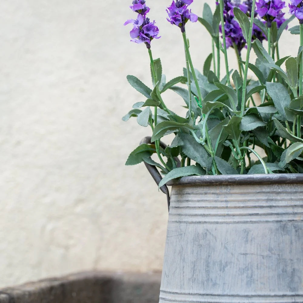 Galvanised zinc planter with purple flowers, designed for outdoor elegance, available at Source for the Goose, Devon.