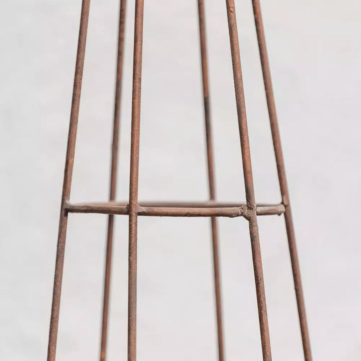 Metal garden obelisk plant support in antique brown finish, adding structure to climbing plants from Source for the Goose, Devon.