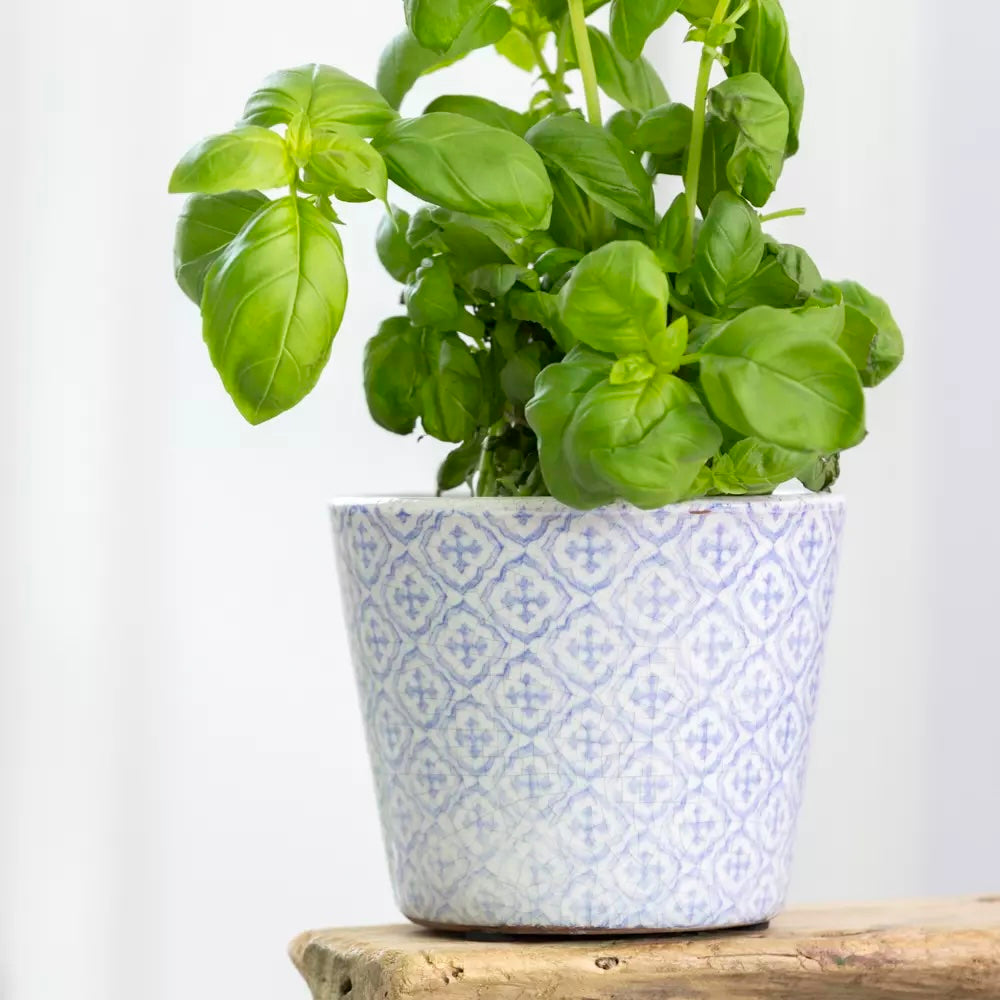 Powder Blue Dutch Style Vintage Design Flowerpot with fresh basil plant inside, showcasing its handcrafted charm.