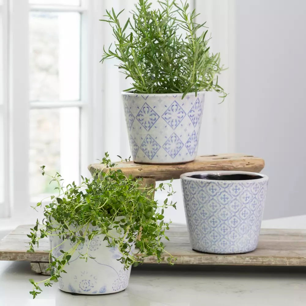 Powder Blue Dutch Style Vintage Design Flowerpot trio with herbs, handcrafted charm by Source for the Goose Devon.