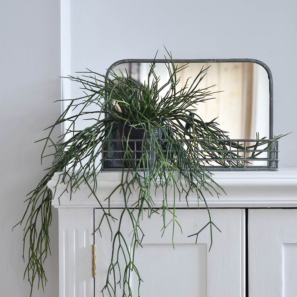 Small Metal Mirror with Shelf featuring greenery, from Source for the Goose Devon, ideal for modern home decor.