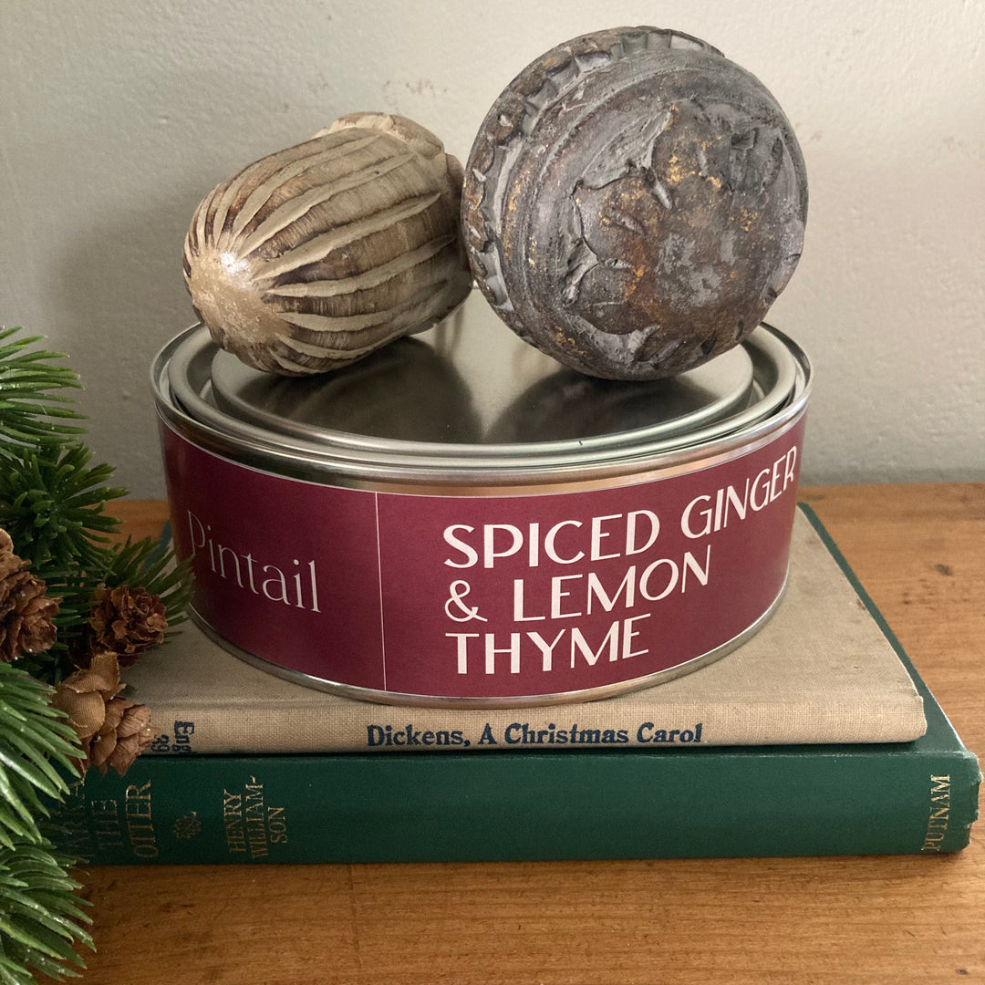 Triple Wick Spiced Ginger and Lemon Thyme Pintail Candle for sale at Source for the Goose 