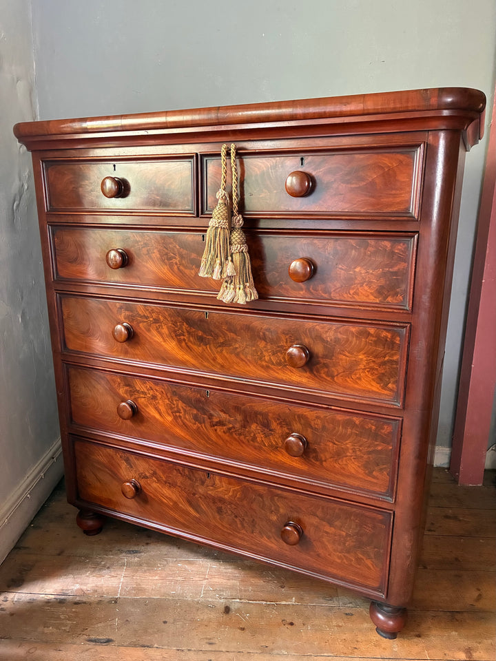 Large Victorian Mahogany Chest of Drawers with six spacious drawers, featuring beautiful craftsmanship and rich color from Source for the Goose, Devon.