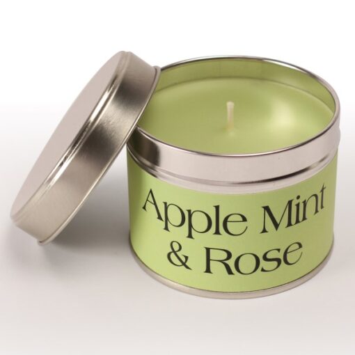 Single Wick Apple Mint & Rose Pintail Candle for sale at Source for the Goose, Devon, UK