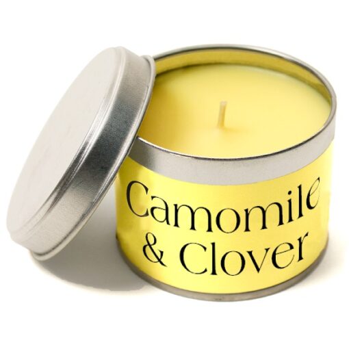Camomile & Clover Single Wick Pintail Candle at Source for the Goose, Devon