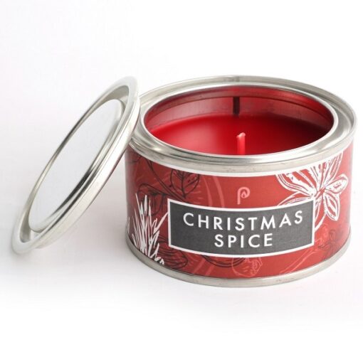 Christmas Spice Pintail Elements Candle for sale at Source for the Goose, Devon, UK