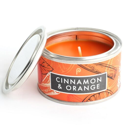 Cinnamon & Orange Pintail Elements Candle for sale at Source for the Goose, Devon, UK