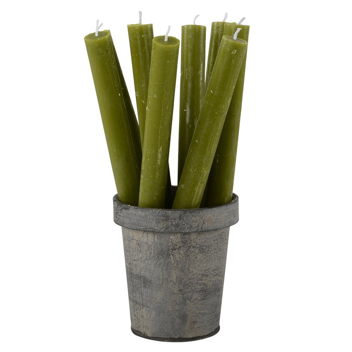 set of three fern green dinner candles for sale at Source for the Goose, Devon