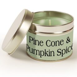 Single Wick Pine Cone and Pumpkin Spice Pintail Candle