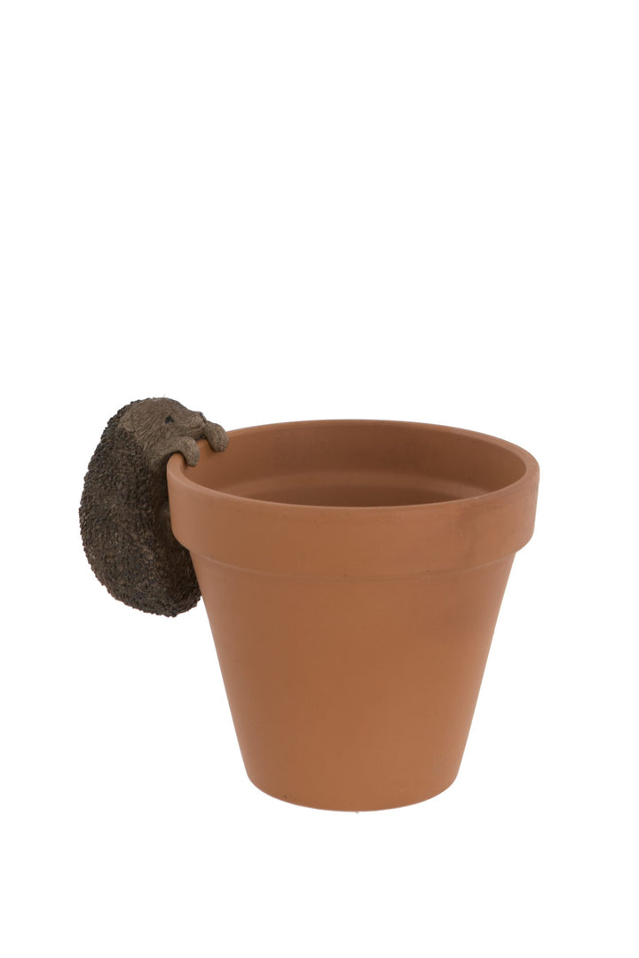 Rustic Hedgehog Pot Hanger 