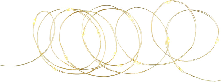 string of led lights on gold wire for sale at Source for the Goose 