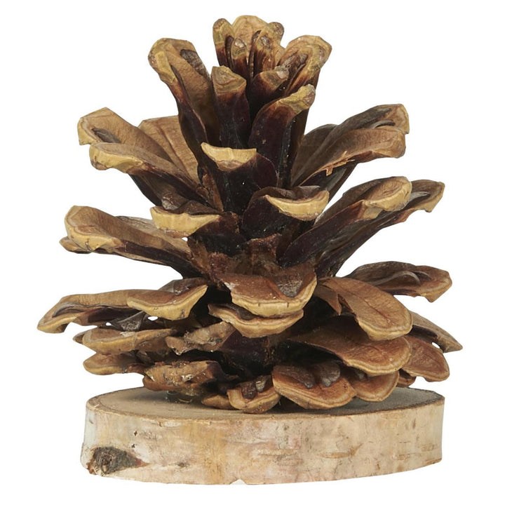 Bundle of Four Pine Cone Christmas Decorations by IB Laursen